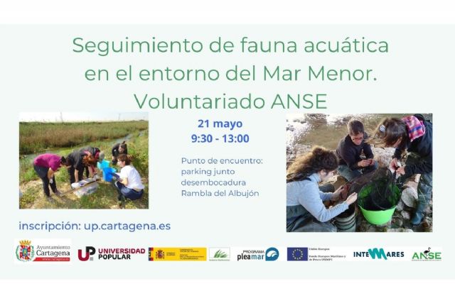 Voluntarios de la UP y ANSE harán seguimiento de la fauna acuática del Mar Menor - 1, Foto 1