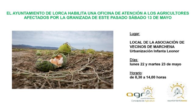 El Ayuntamiento de Lorca acuerda, en Junta de Portavoces, realizar una declaración institucional para mostrar el apoyo a los afectados por el pedrisco del pasado sábado - 1, Foto 1