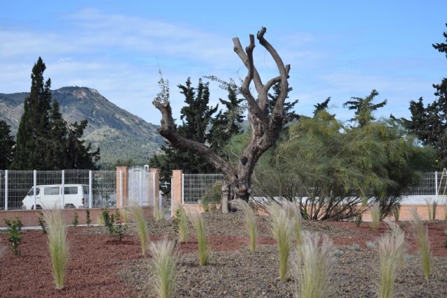 La isleta de la calle Picos de Europa se renueva por completo mejorando su estética - 1, Foto 1