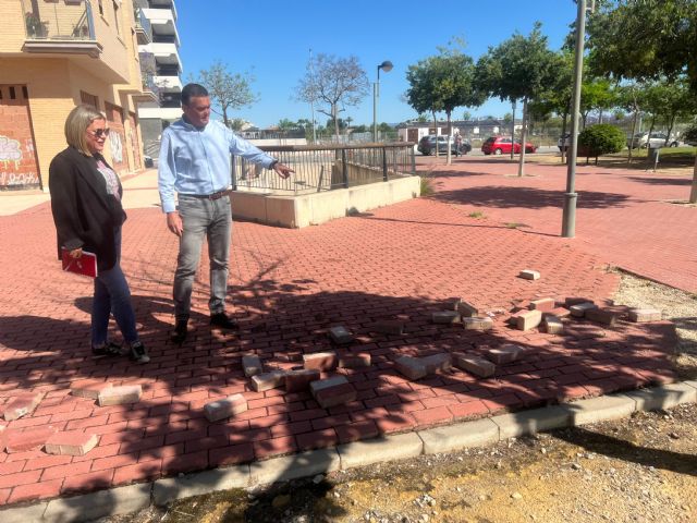 El PSOE consigue la aprobación de un plan de mejora para frenar el deterioro de los espacios verdes en Santiago y  Zaraiche - 1, Foto 1