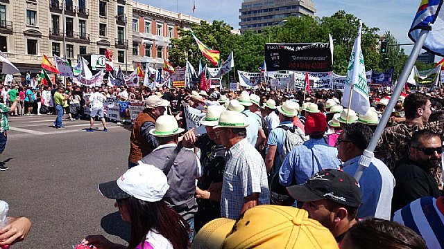 El BOE publica la sentencia del TS sobre especies exóticas invasoras, Foto 3