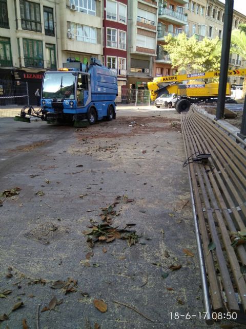 Reabierta la Plaza de Santo Domingo tras concluir los trabajos de saneamiento del ficus y garantizar la seguridad de los viandantes - 3, Foto 3