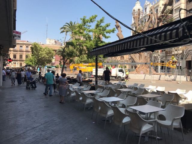 Reabierta la Plaza de Santo Domingo tras concluir los trabajos de saneamiento del ficus y garantizar la seguridad de los viandantes - 4, Foto 4