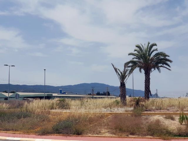 Cs pide a Ballesta que intermedie ante Fomento para la limpieza y adecuación de una de las rotondas de acceso a El Palmar - 1, Foto 1