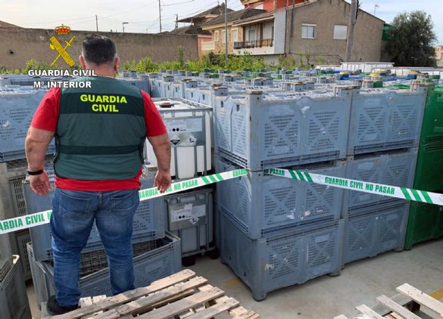 La Guardia Civil desmantela un grupo criminal que sustrajo más de 600 unidades de palots de cinco fincas agrícolas - 2, Foto 2