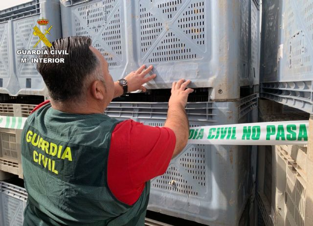 La Guardia Civil desmantela un grupo criminal que sustrajo más de 600 unidades de palots de cinco fincas agrícolas - 3, Foto 3