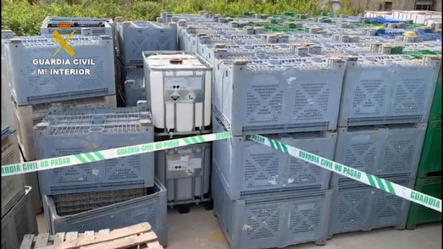 La Guardia Civil desmantela un grupo criminal que sustrajo más de 600 unidades de palots de cinco fincas agrícolas - 5, Foto 5