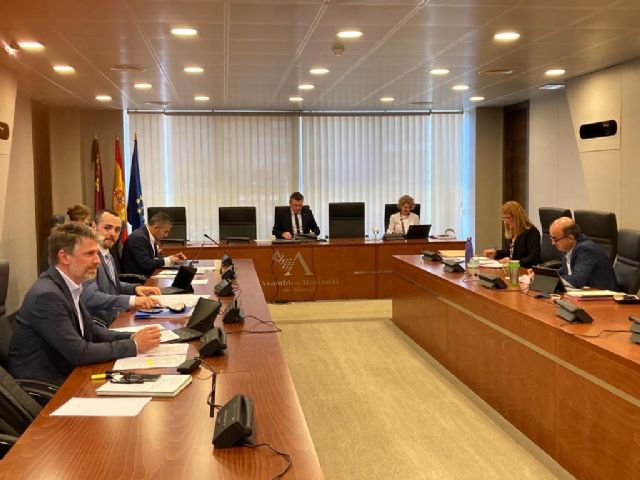 El COAMU reclama ante la Asamblea modernizar la tramitación urbanística - 1, Foto 1