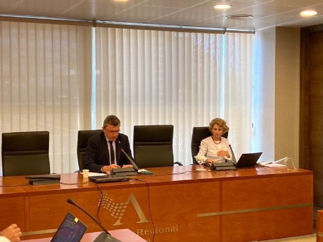 El COAMU reclama ante la Asamblea modernizar la tramitación urbanística - 2, Foto 2