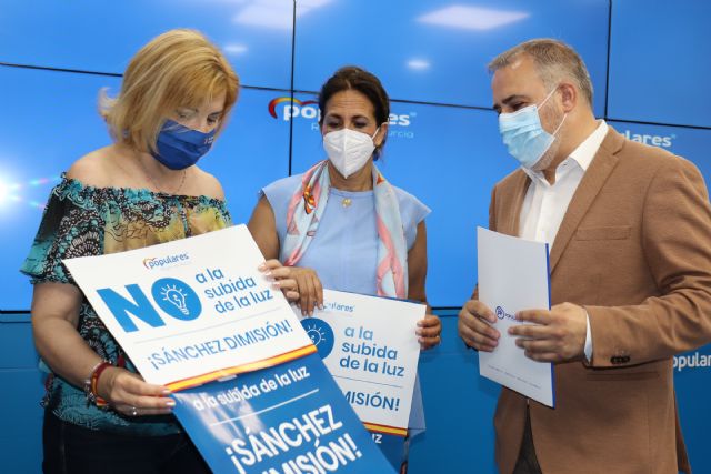 El PP se moviliza para exigir al Gobierno de Sánchez la bajada de la factura de la luz y pide soluciones permanentes y no suspensiones - 1, Foto 1
