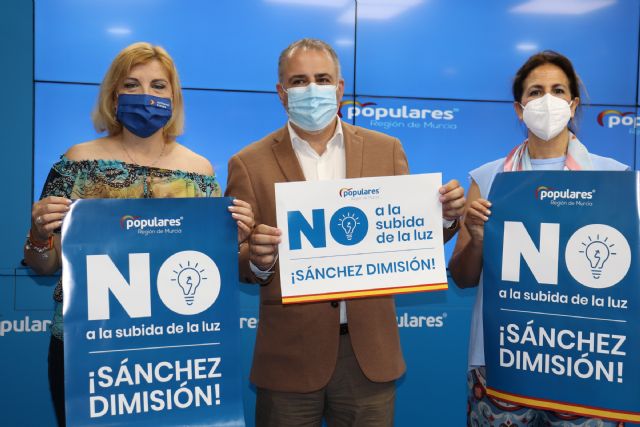 El PP se moviliza para exigir al Gobierno de Sánchez la bajada de la factura de la luz y pide soluciones permanentes y no suspensiones - 2, Foto 2