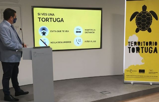 La Comunidad pone en marcha la campaña 'Territorio Tortuga 2021' para informar de la conducta a seguir en caso de hallar ejemplares, Foto 1