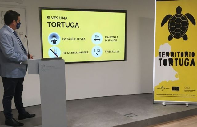 La Comunidad pone en marcha la campaña 'Territorio Tortuga 2021' para informar de la conducta a seguir en caso de hallar ejemplares - 1, Foto 1