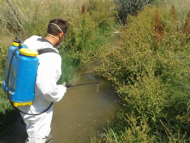 San Pedro del Pinatar refuerza las acciones de   control de plagas ante el aumento de mosquitos por las temperaturas - 1, Foto 1