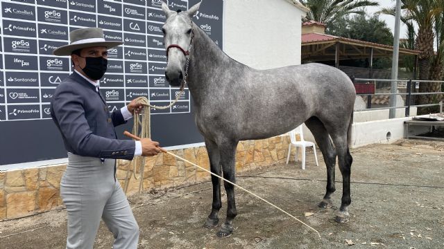 La Yeguada Peña de Béjar de Puerto Lumbreras alberga la 25ª edición de Equimur, una de las ferias más importantes de España en el sector equino - 4, Foto 4