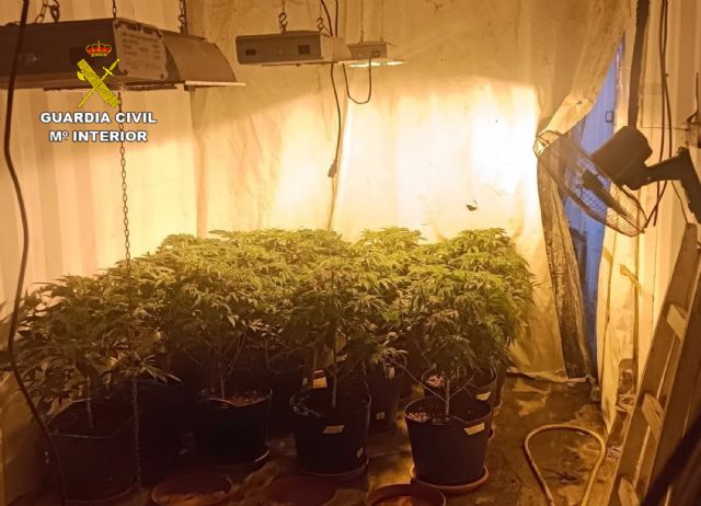 La Guardia Civil desarticula un grupo delictivo dedicado al cultivo ilícito de marihuana en Fortuna - 1, Foto 1