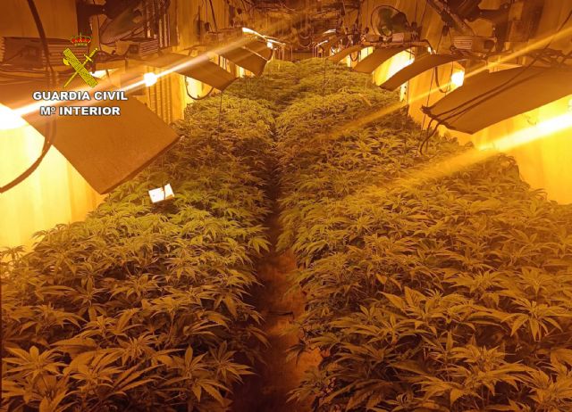 La Guardia Civil desarticula un grupo delictivo dedicado al cultivo ilícito de marihuana en Fortuna - 3, Foto 3