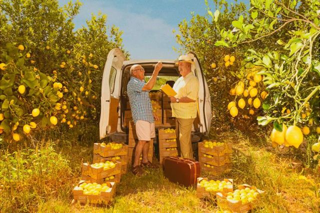 Limonar de Santomera, premiada por su campaña El pueblo que sonríe al limón - 2, Foto 2