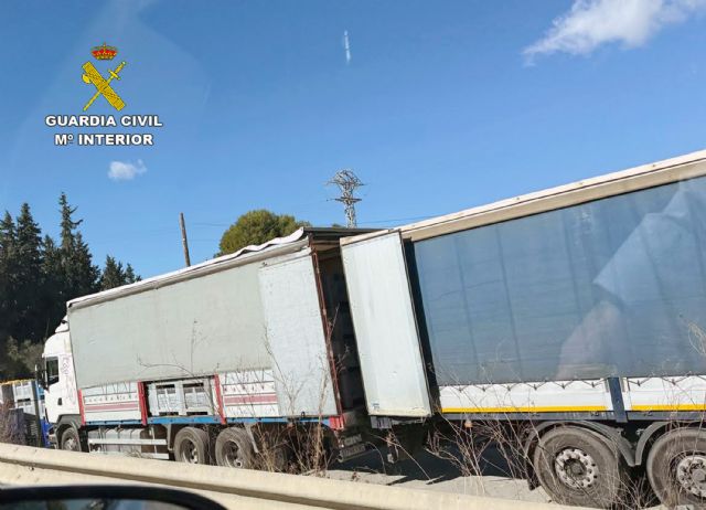 La Guardia Civil investiga a tres empresarios por estafar más de medio millón de euros con la venta fraudulenta de cítricos ecológicos - 2, Foto 2