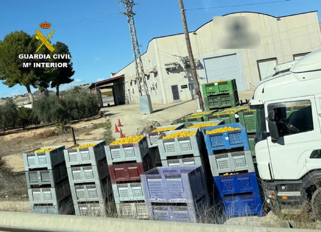 La Guardia Civil investiga a tres empresarios por estafar más de medio millón de euros con la venta fraudulenta de cítricos ecológicos - 3, Foto 3