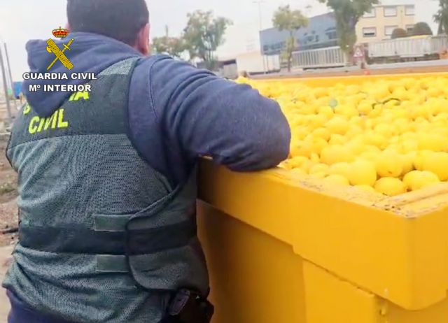 La Guardia Civil investiga a tres empresarios por estafar más de medio millón de euros con la venta fraudulenta de cítricos ecológicos - 4, Foto 4