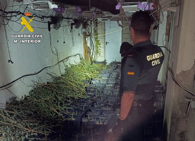 La Guardia Civil desmantela en Cehegín un invernadero indoor de marihuana - 3, Foto 3