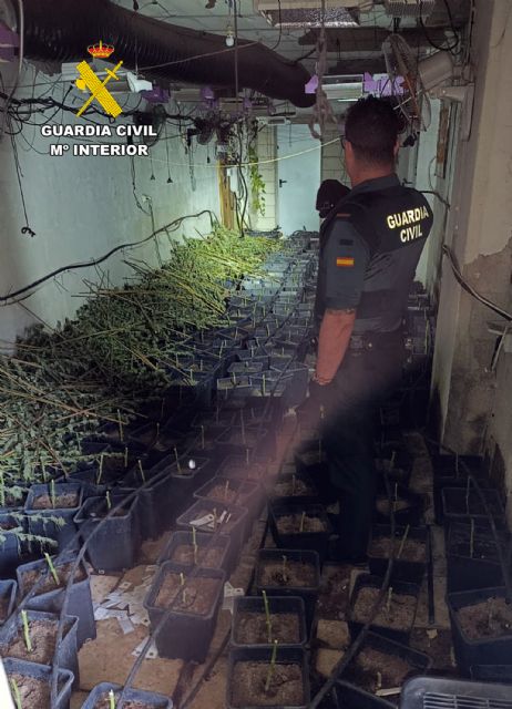 La Guardia Civil desmantela en Cehegín un invernadero indoor de marihuana - 4, Foto 4