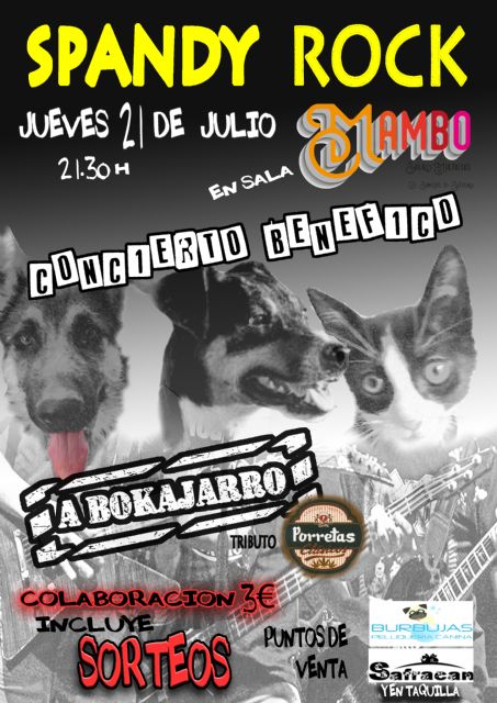 La protectora de animales de Yecla presenta su próximo evento, el Spandy Rock - 1, Foto 1