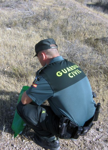 La Guardia Civil interviene más de un centenar de cebos envenenados en un paraje de El Esparragal-Murcia - 1, Foto 1
