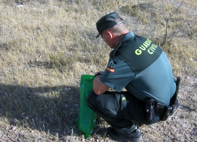 La Guardia Civil interviene más de un centenar de cebos envenenados en un paraje de El Esparragal-Murcia - 4, Foto 4