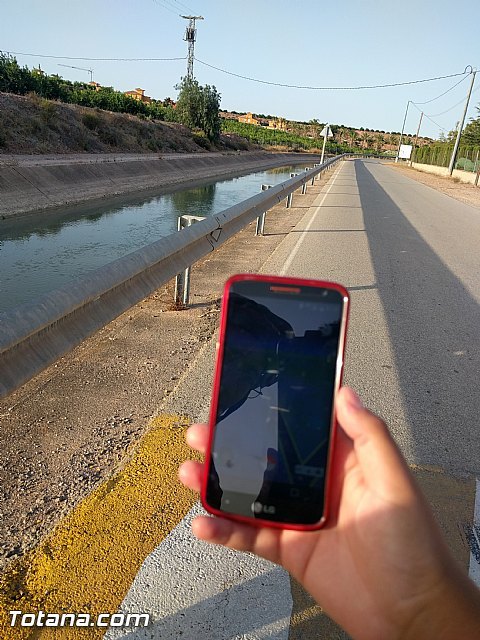 El fenómeno Pokémon GO llega a Totana, Foto 2