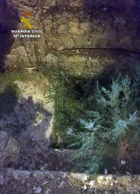 La Guardia Civil rescata a un octogenario accidentado en Cieza - 1, Foto 1