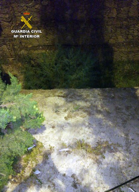 La Guardia Civil rescata a un octogenario accidentado en Cieza - 2, Foto 2