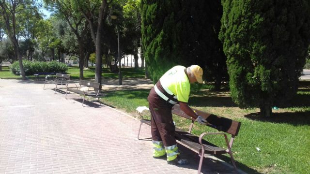 Dos barrios de Puente Tocinos se benefician de ADN Conecta con mejoras intensivas de jardines - 3, Foto 3
