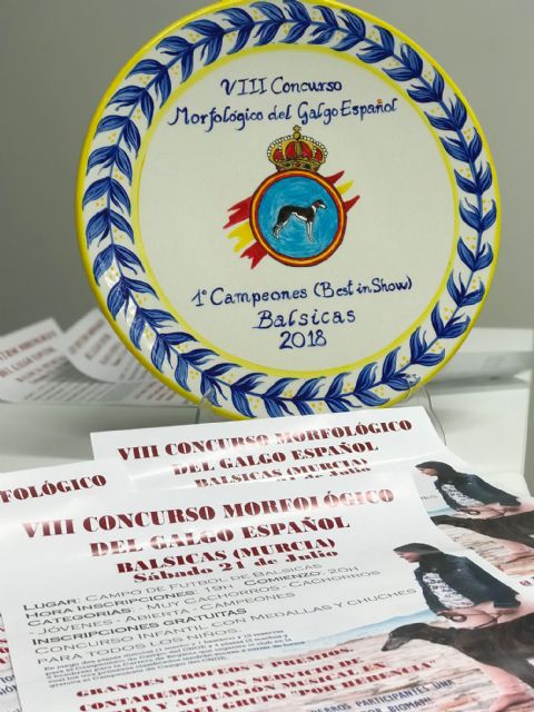 VIII Concurso Morfológico del Galgo Español en Balsicas el próximo sábado 21 de julio - 3, Foto 3