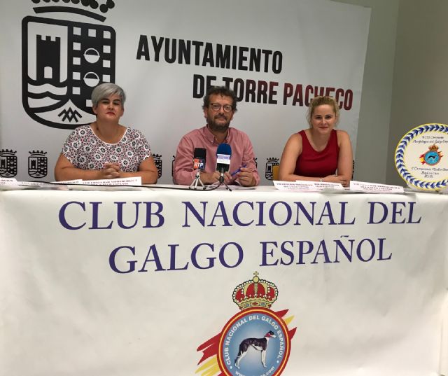VIII Concurso Morfológico del Galgo Español en Balsicas el próximo sábado 21 de julio - 4, Foto 4
