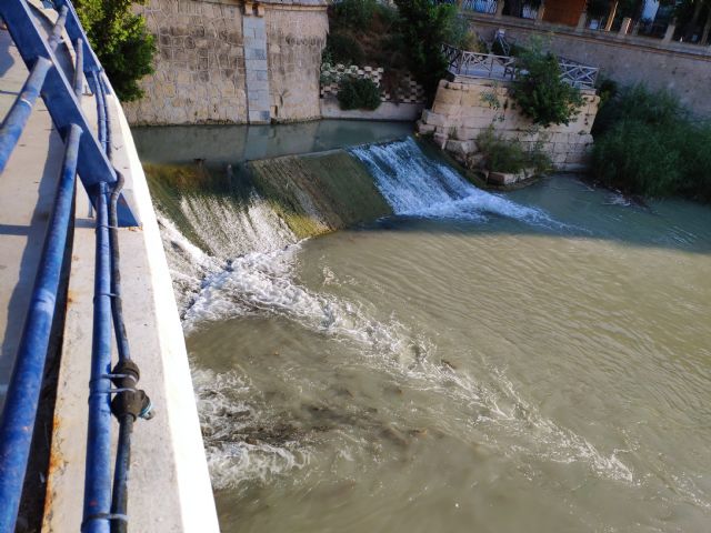 Miles de barbos quedan atrapados en el Azud de Manterola ante la ausencia de una escala para peces - 1, Foto 1