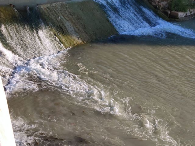 Miles de barbos quedan atrapados en el Azud de Manterola ante la ausencia de una escala para peces - 2, Foto 2