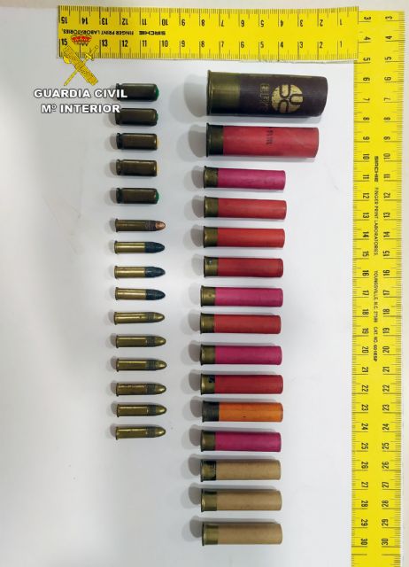 La Guardia Civil detiene a dos hermanos por el secuestro y la agresión a un vecino de Blanca - 2, Foto 2