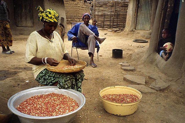 No renovar el acuerdo de los cereales puede ser demoledor para el Sahel - 1, Foto 1