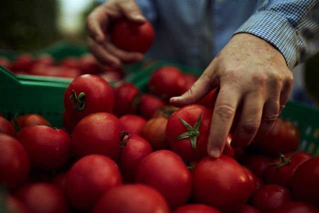 Alvalle celebra el Día Mundial del Gazpacho con respeto y tradición - 1, Foto 1