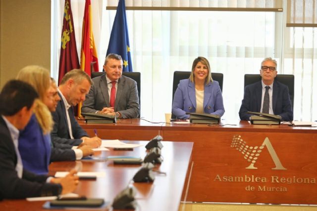 La alcaldesa defiende en la Asamblea rebajar el nivel del acuífero para evitar la entrada de más nitratos al Mar Menor y ejecutar el colector vertido cero - 1, Foto 1