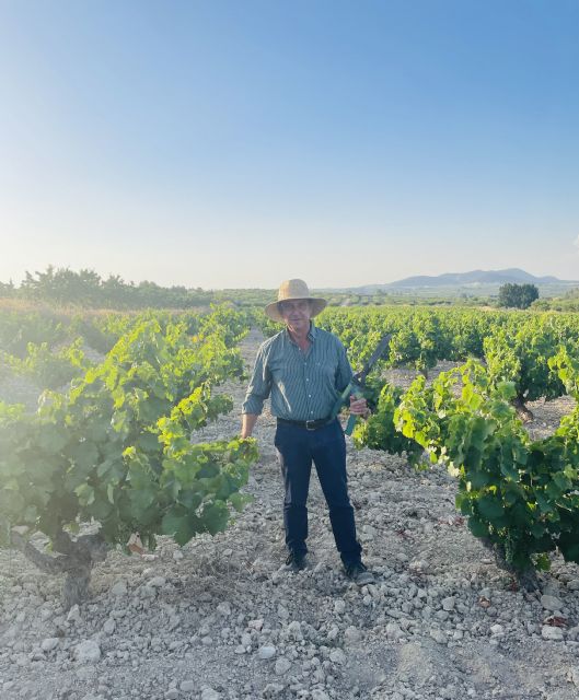 Pedro Sánchez Pujante, nombrado Maestro del Vino de Bullas 2025 - 1, Foto 1