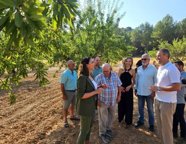 Agricultores caravaqueños recibirán la nueva ayuda para los almendros afectados en los últimos años por la sequía - 2, Foto 2