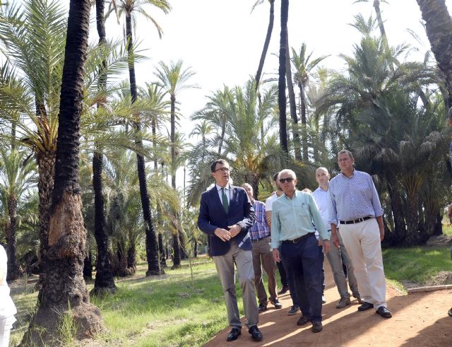 El histórico Palmeral de Santiago y Zaraíche recupera el sistema de riego tradicional - 4, Foto 4