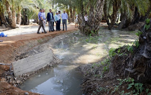 El histórico Palmeral de Santiago y Zaraíche recupera el sistema de riego tradicional - 5, Foto 5