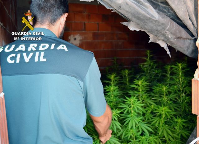 La Guardia Civil desmantela en Murcia un clan familiar dedicado al cultivo ilcito de marihuana, Foto 1