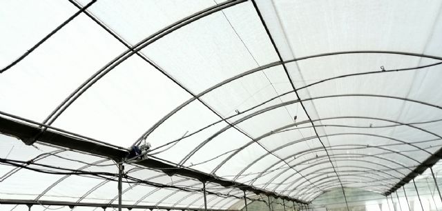 Un nuevo sistema permite controlar de forma automática la temperatura en los viveros del Mayayo - 3, Foto 3