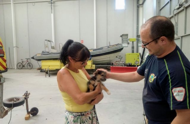 La Policía Local de Lorca rescata a un perro arrojado a un contenedor soterrado del Barrio de San Cristóbal - 1, Foto 1