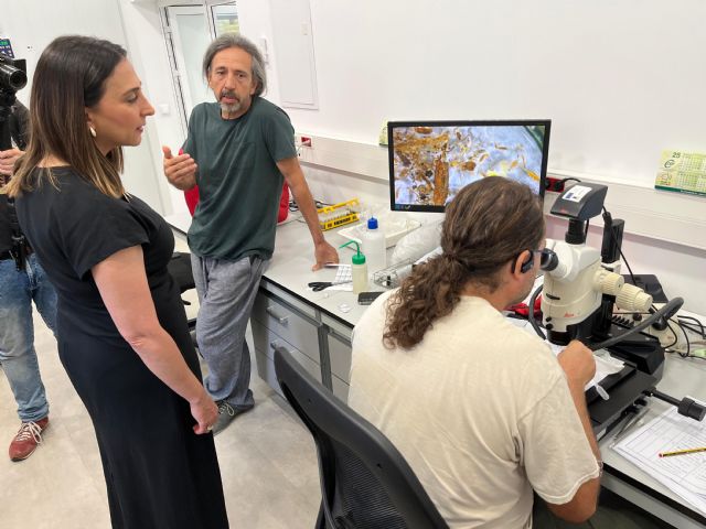 El IMIDA trabaja en el control de un nuevo trips exótico que afecta al pimiento - 1, Foto 1